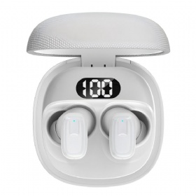 True Wireless Stereo LX5100